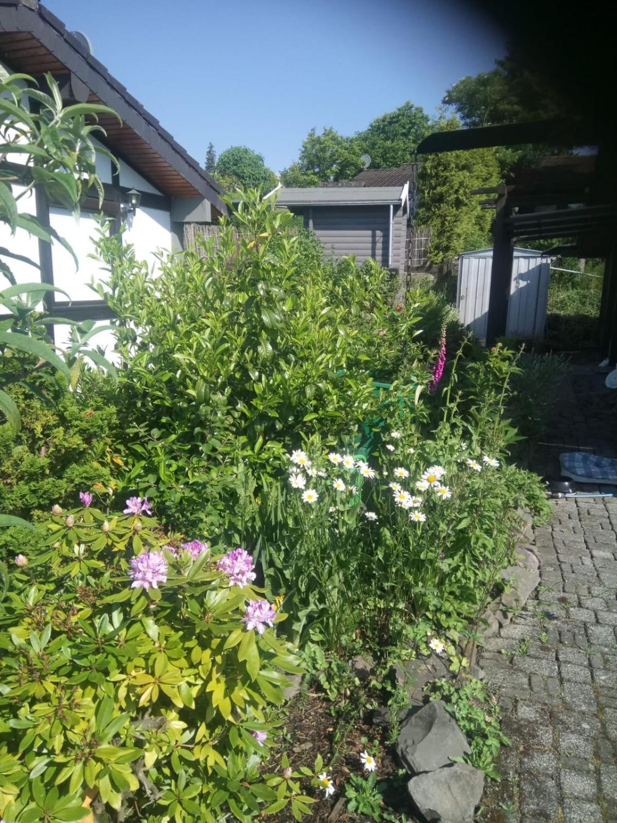 Haus Am Listersee Meinerzhagen Zewnętrze zdjęcie