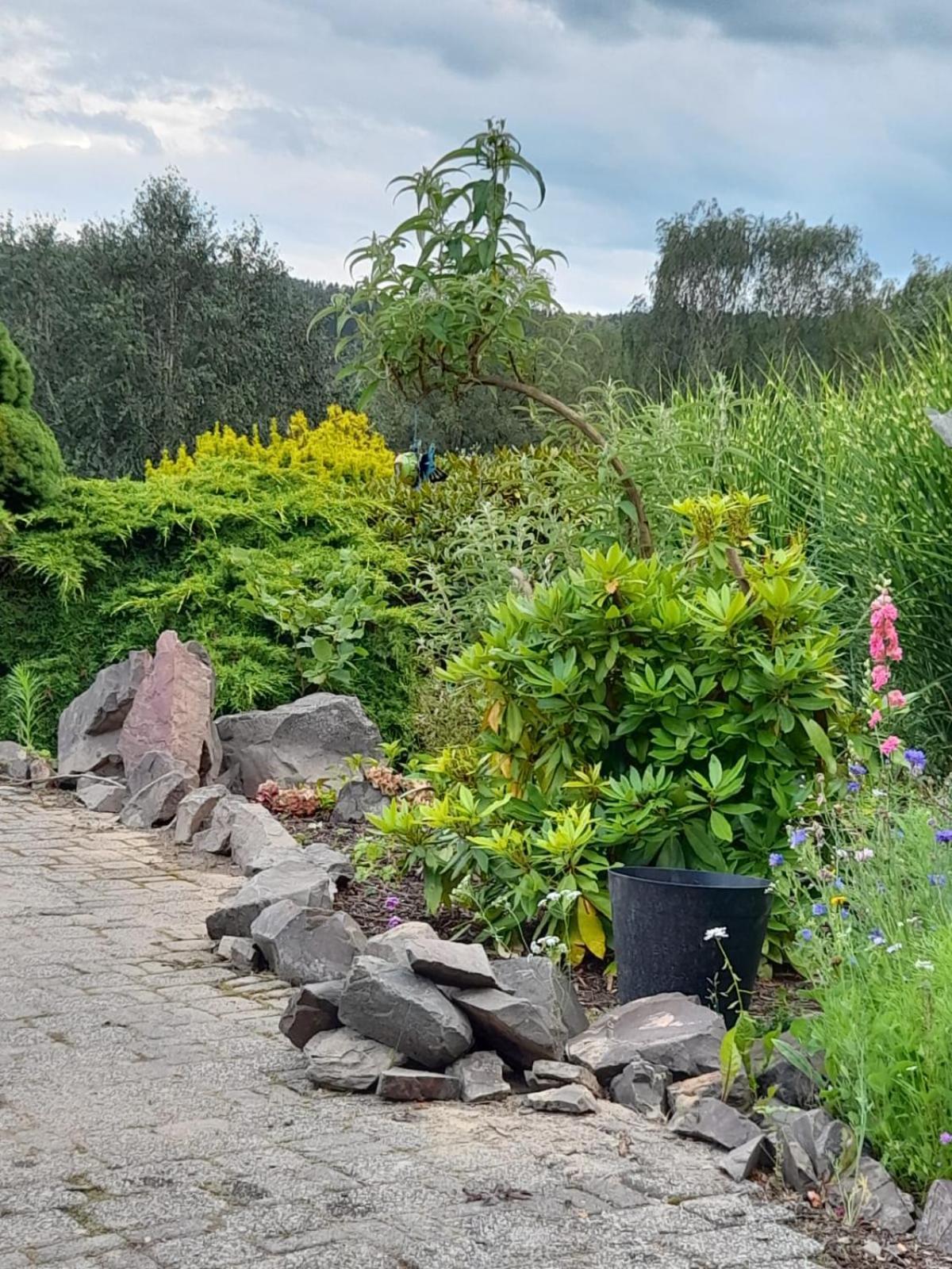 Haus Am Listersee Meinerzhagen Zewnętrze zdjęcie