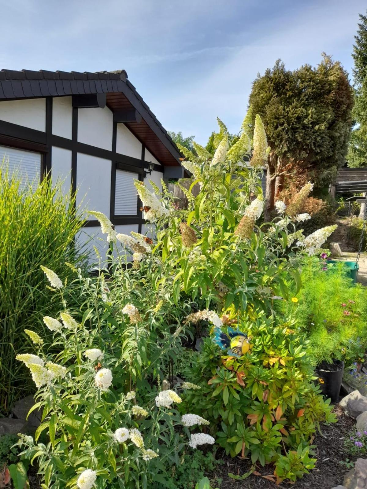 Haus Am Listersee Meinerzhagen Zewnętrze zdjęcie